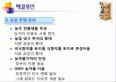 식량생산 문제와 인구문제 18페이지
