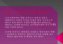 사회, 화학, 에너지 16페이지