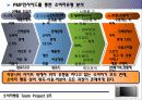 [소비자행동] 디지털 컨버젼스시대의 도래와 PMP를 통한 소비자의 행동연구 11페이지