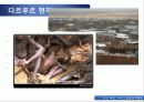 수단(Sudan) 내전, 그리고 평화유지활동 24페이지