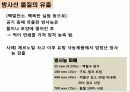 방사선생물학 4페이지