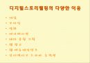 디지털 시대와 문화 9페이지