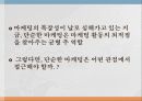 피곤한 고객과 단순한 마케팅 21페이지