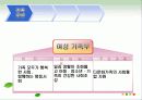 다문화 가족 14페이지