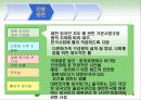 다문화 가족 15페이지