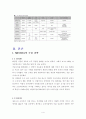 미샤의 국내 전략과 글로벌 전략 4페이지