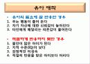 가족치료_가족 관계와 정서 이해  15페이지