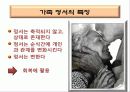 가족치료_가족 관계와 정서 이해  17페이지