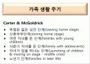 가족치료_가족 관계와 정서 이해  22페이지