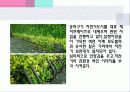 공공시설물 11페이지