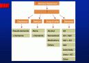 Alzheimer’s disease 9페이지