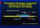 Alzheimer’s disease 15페이지