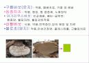 버섯의 종류와 그 효능 6페이지