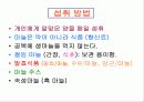 과실.채소류 19페이지