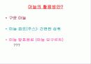 과실.채소류 20페이지