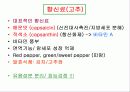 과실.채소류 24페이지