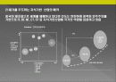 인도시장 진출전략 15페이지