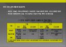 인도시장 진출전략 29페이지