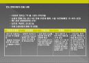 인도시장 진출전략 30페이지