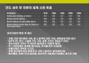 인도시장 진출전략 36페이지
