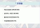 그리스 페르시아 펠로폰네소스 전쟁 15페이지