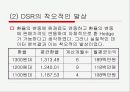 수출기업의 국제재무관리 전략 - DSR 제강 사례연구 -  14페이지