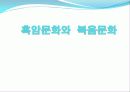 흑암문화와  복음문화 1페이지