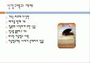 이슬람교의 역사와 신앙 16페이지