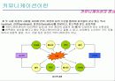 커뮤니케이션 - 조직 내 의사소통 - 4페이지