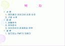 레인콤 아이리버의 MP3 개발사례 연구  2페이지