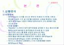 레인콤 아이리버의 MP3 개발사례 연구  6페이지