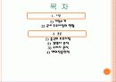 국내 주류시장의 현황 2페이지