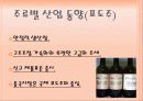 국내 주류시장의 현황 11페이지