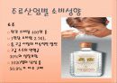 국내 주류시장의 현황 18페이지