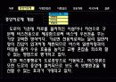 소림행정 중앙버스 전용차로제 3페이지