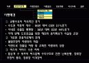 소림행정 중앙버스 전용차로제 5페이지