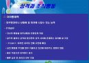성격과능력 14페이지