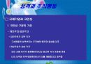 성격과능력 23페이지