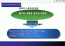 미래스포츠-전망,활용 16페이지