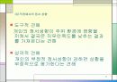감정과스트레스 13페이지