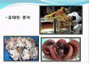 흑암문화와 복음문화 5페이지