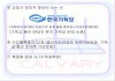 정치문제에 대한 기독교적 응답  20페이지