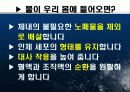 물에 대한 보건교육 18페이지