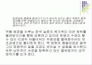 나도향의 물레방아와 뽕의 문학사적 의의 12페이지