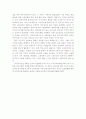 비정규직 보호 입법 2페이지