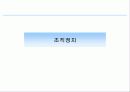 권력 대인관계 영향력과 조직정치 14페이지