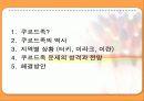 쿠르드족 분리운동 2페이지