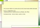 전자상거래에서의 지적재산권에 관한 문제점과 개선방안 2페이지