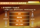 조직분위기 관리 19페이지