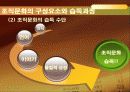 조직분위기 관리 26페이지
